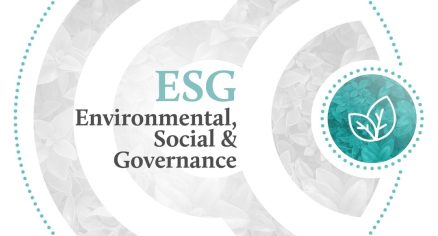 ESG: wat zijn de taken van de sustainability officer (CSO)?